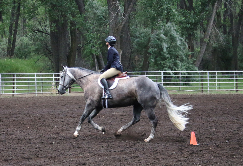 Footing equestrian horses