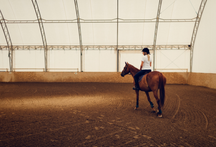 horse arena - website 