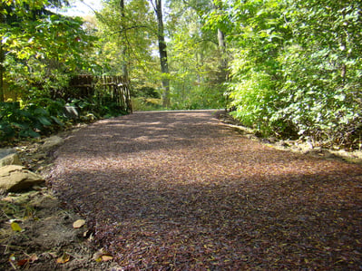 Rubber Trails