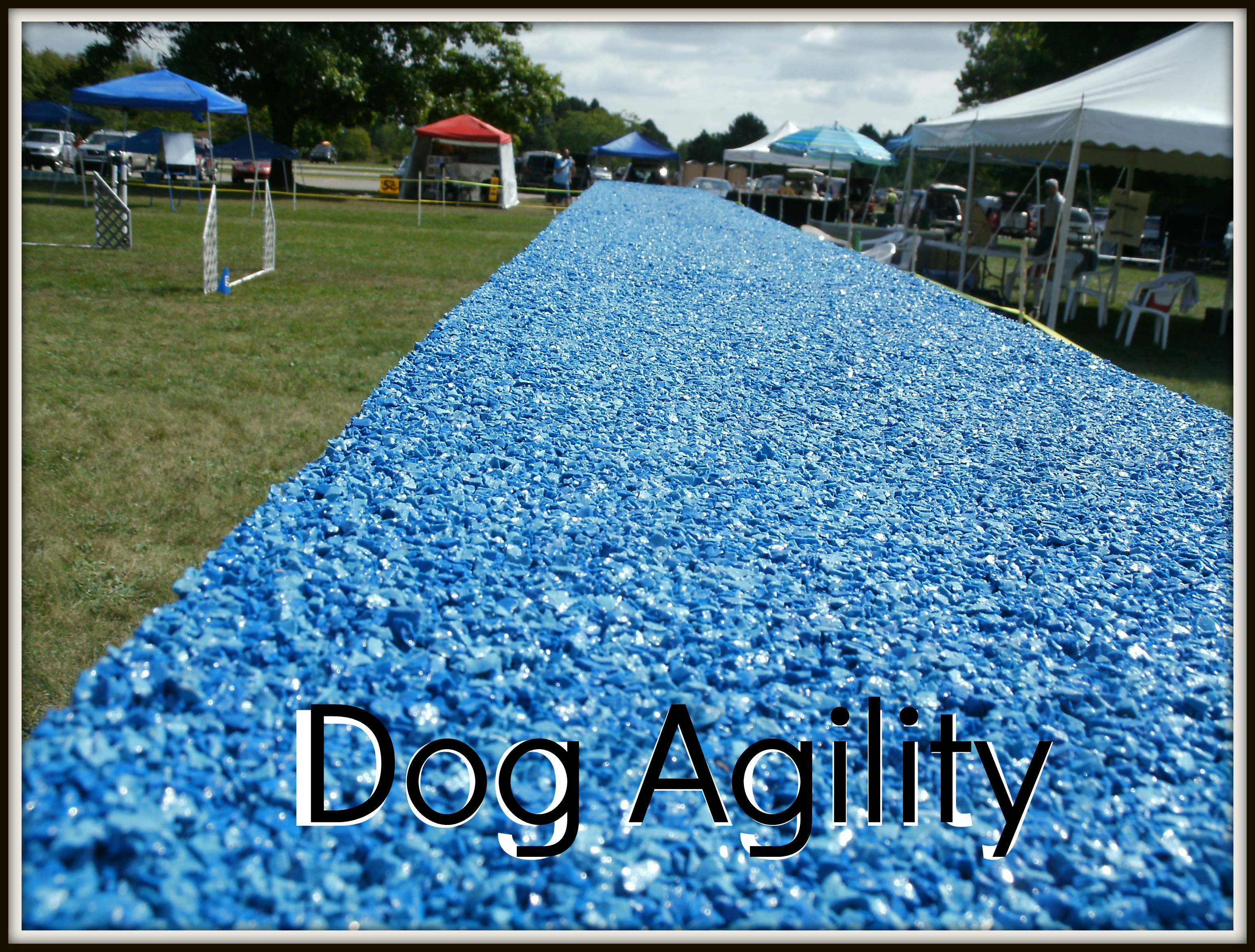 K9 Agility Surfacing ~American Recycling Center